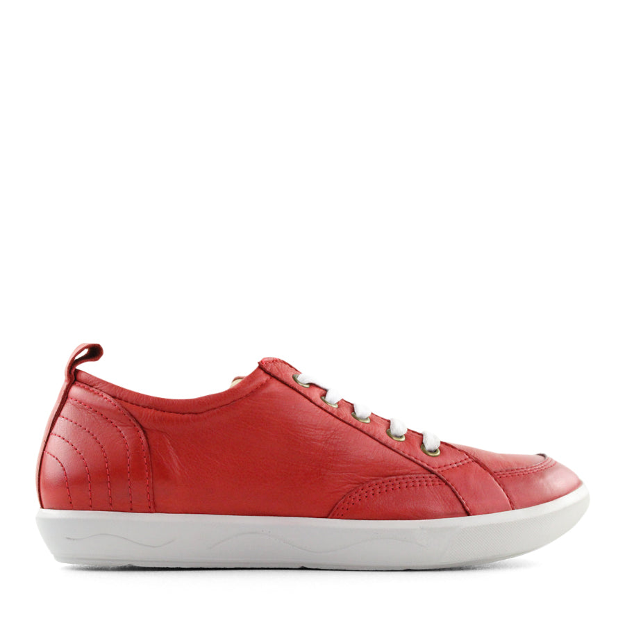 TESSELLI XD BAILEY CASUAL SHOE