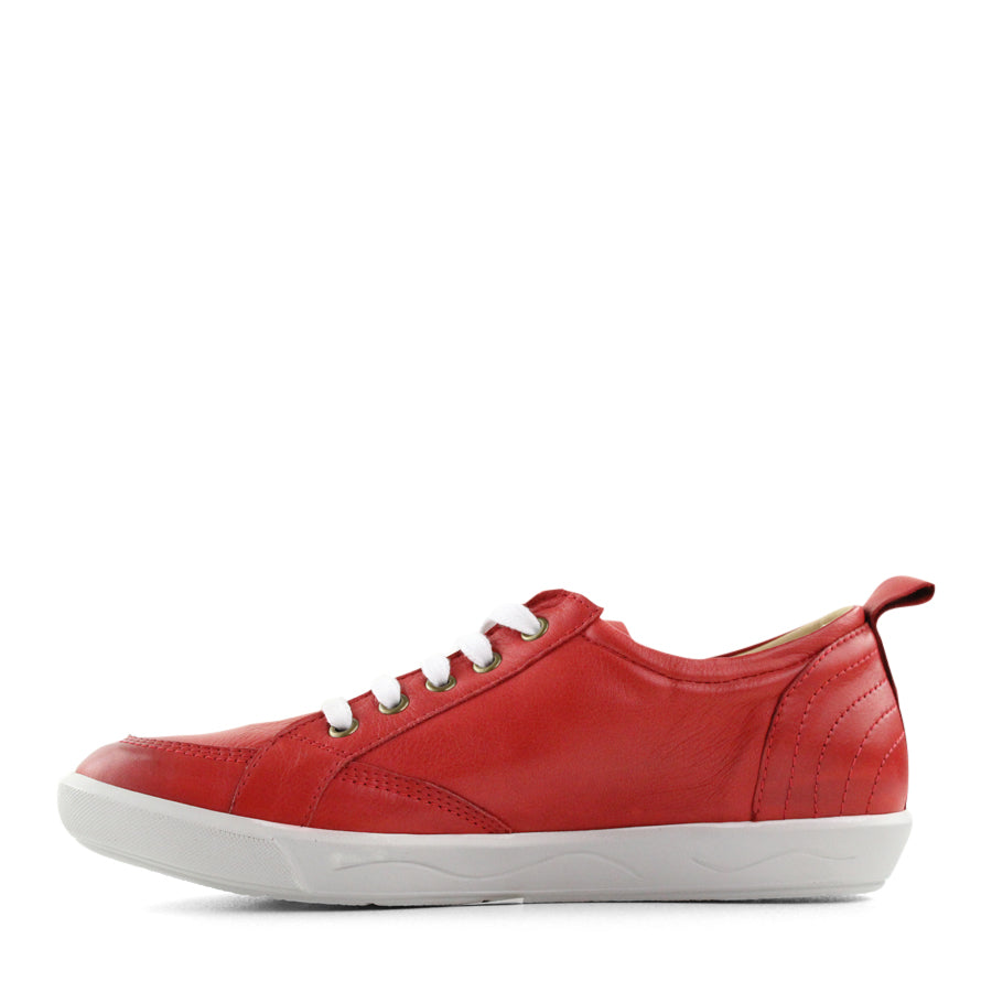 TESSELLI XD BAILEY CASUAL SHOE