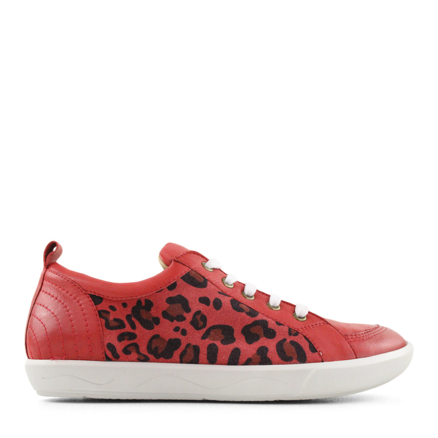 TESSELLI XD BERLI CASUAL SHOE