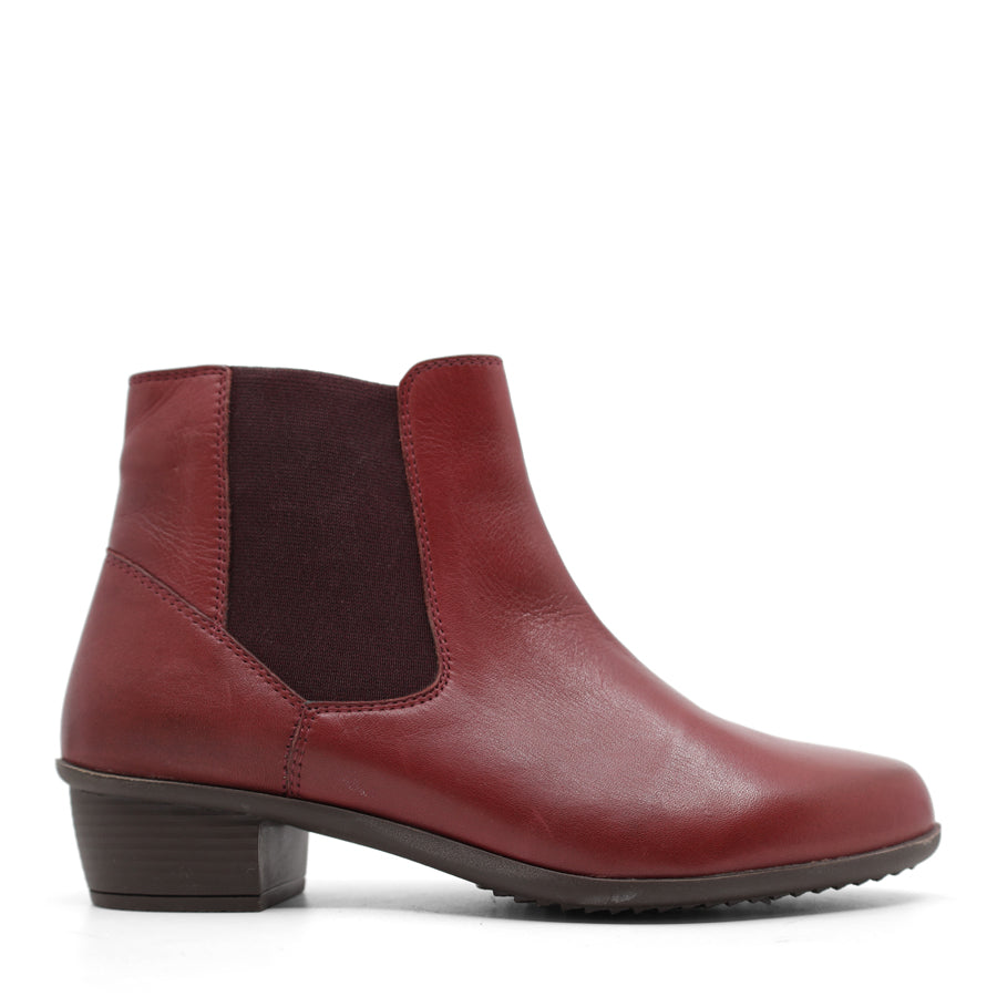 TESSELLI XD ALBA ANKLE BOOTS