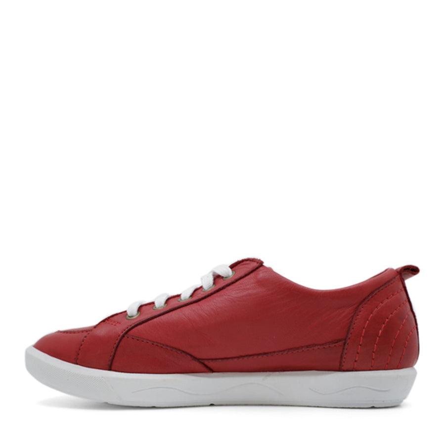 TESSELLI XD BELL CASUAL SHOE