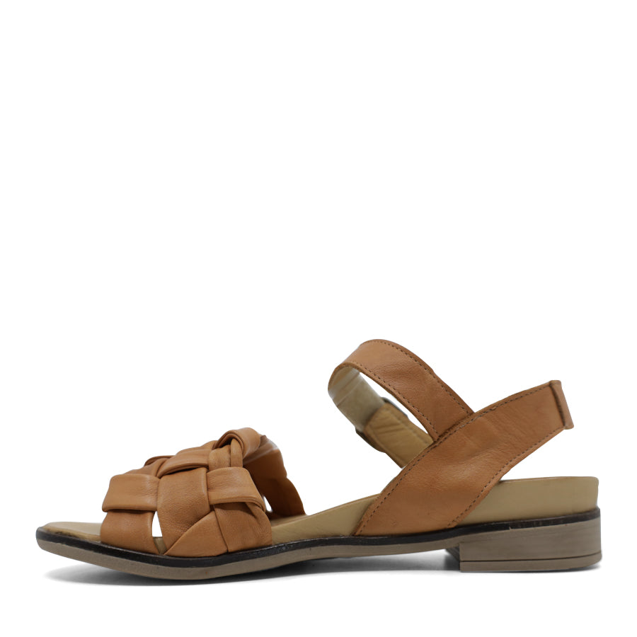 TESSELLI GOLDIE FLAT SANDALS