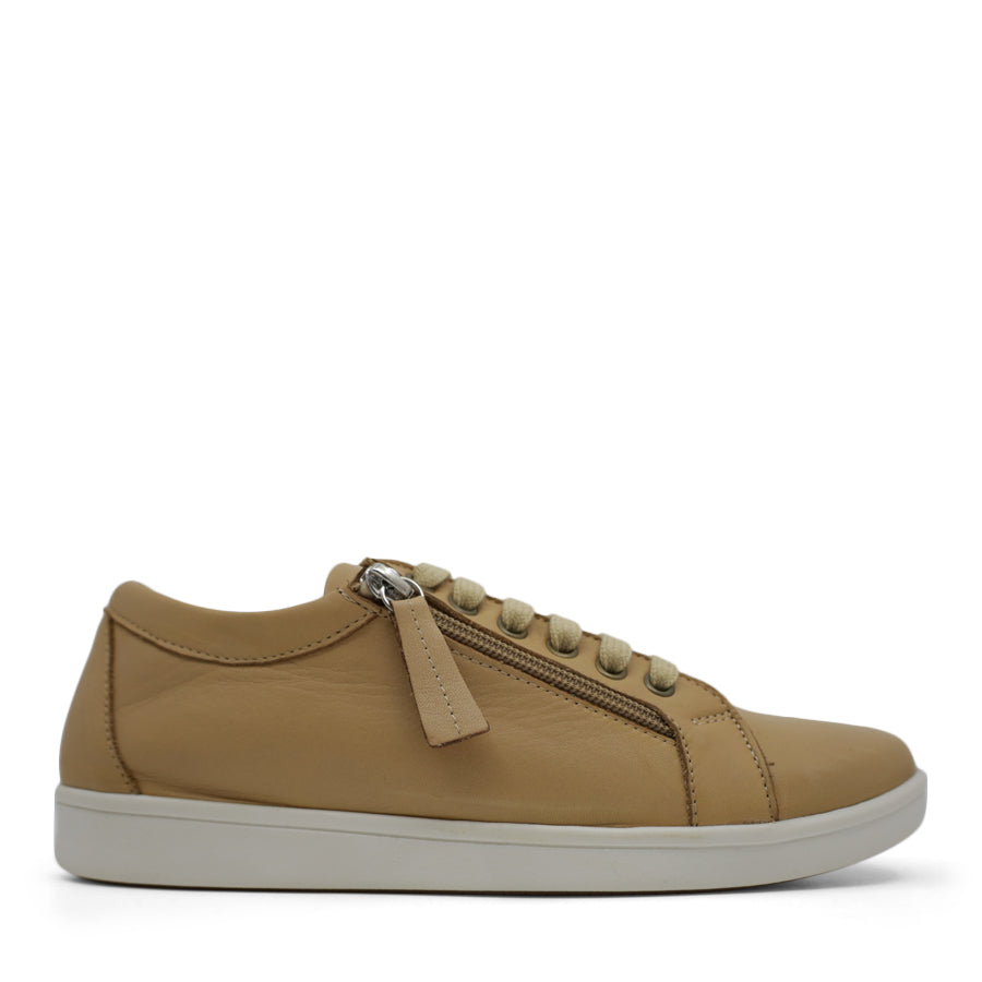 TESSELLI XD HAMI CASUAL SHOE