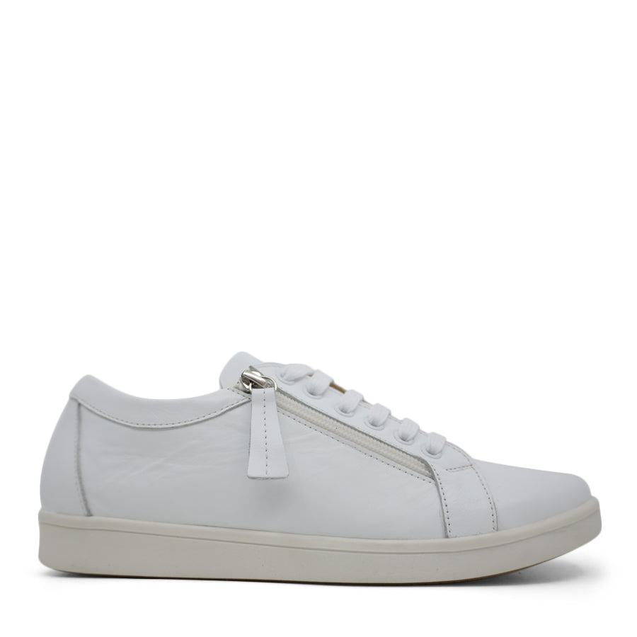 TESSELLI XD HAMI CASUAL SHOE